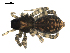  ( - BIOUG00514-E10)  @12 [ ] CC-0  G. Blagoev 2010 Unspecified