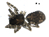  ( - BIOUG00514-E12)  @12 [ ] CC-0  G. Blagoev 2010 Unspecified