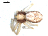  ( - BIOUG00514-F12)  @13 [ ] CC-0  G. Blagoev 2010 Unspecified
