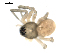  ( - BIOUG00515-A03)  @12 [ ] CC-0  G. Blagoev 2010 Unspecified
