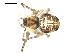  ( - BIOUG00515-B09)  @12 [ ] CC-0  G. Blagoev 2010 Unspecified