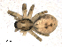  ( - BIOUG00515-B11)  @12 [ ] CC-0  G. Blagoev 2010 Unspecified