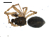  ( - BIOUG00515-C11)  @12 [ ] CC-0  G. Blagoev 2010 Unspecified