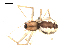  ( - BIOUG00515-D02)  @12 [ ] CC-0  G. Blagoev 2010 Unspecified