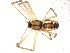  ( - BIOUG00515-D03)  @12 [ ] CC-0  G. Blagoev 2010 Unspecified