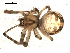  ( - BIOUG00515-D06)  @12 [ ] CC-0  G. Blagoev 2010 Unspecified