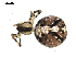  ( - BIOUG00515-D09)  @12 [ ] CC-0  G. Blagoev 2010 Unspecified