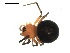 ( - BIOUG00515-G04)  @13 [ ] CC-0  G. Blagoev 2010 Unspecified