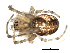  ( - BIOUG00515-G06)  @12 [ ] CC-0  G. Blagoev 2010 Unspecified