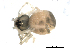  ( - BIOUG00515-G10)  @12 [ ] CC-0  G. Blagoev 2010 Unspecified