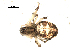  ( - BIOUG00515-H02)  @12 [ ] CC-0  G. Blagoev 2010 Unspecified