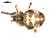  ( - BIOUG00515-H04)  @12 [ ] CC-0  G. Blagoev 2010 Unspecified