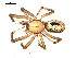  ( - BIOUG00516-A04)  @12 [ ] CC-0  G. Blagoev 2010 Unspecified