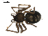  ( - BIOUG00516-A10)  @13 [ ] CC-0  G. Blagoev 2010 Unspecified