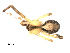  ( - BIOUG00516-B05)  @12 [ ] CC-0  G. Blagoev 2010 Unspecified