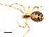  ( - BIOUG00516-B06)  @12 [ ] CC-0  G. Blagoev 2010 Unspecified
