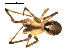  ( - BIOUG00516-B12)  @12 [ ] CC-0  G. Blagoev 2010 Unspecified