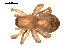 ( - BIOUG00516-C02)  @12 [ ] CC-0  G. Blagoev 2010 Unspecified