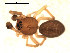  ( - BIOUG00516-C06)  @12 [ ] CC-0  G. Blagoev 2010 Unspecified