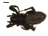  ( - BIOUG00516-C10)  @13 [ ] CC-0  G. Blagoev 2010 Unspecified