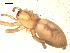  ( - BIOUG00516-C11)  @12 [ ] CC-0  G. Blagoev 2010 Unspecified