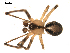 ( - BIOUG00516-D04)  @12 [ ] CC-0  G. Blagoev 2010 Unspecified