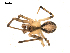  ( - BIOUG00516-D05)  @12 [ ] CC-0  G. Blagoev 2010 Unspecified