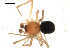 ( - BIOUG00516-D06)  @12 [ ] CC-0  G. Blagoev 2010 Unspecified