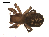  ( - BIOUG00516-D09)  @12 [ ] CC-0  G. Blagoev 2010 Unspecified