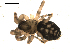  ( - BIOUG00516-D10)  @12 [ ] CC-0  G. Blagoev 2010 Unspecified