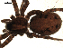  ( - BIOUG00516-E02)  @12 [ ] CC-0  G. Blagoev 2010 Unspecified