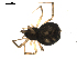  ( - BIOUG00516-E07)  @12 [ ] CC-0  G. Blagoev 2010 Unspecified