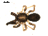  ( - BIOUG00516-F07)  @12 [ ] CC-0  G. Blagoev 2010 Unspecified