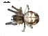  ( - BIOUG00516-G07)  @12 [ ] CC-0  G. Blagoev 2010 Unspecified