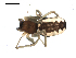  ( - BIOUG00516-G10)  @12 [ ] CC-0  G. Blagoev 2010 Unspecified