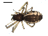  ( - BIOUG00516-G11)  @12 [ ] CC-0  G. Blagoev 2010 Unspecified