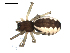  ( - BIOUG00516-G12)  @12 [ ] CC-0  G. Blagoev 2010 Unspecified