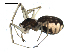  ( - BIOUG00516-H01)  @13 [ ] CC-0  G. Blagoev 2010 Unspecified