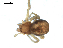  ( - BIOUG00517-A11)  @12 [ ] CC-0  G. Blagoev 2010 Unspecified