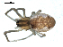  ( - BIOUG00517-B01)  @13 [ ] CC-0  G. Blagoev 2010 Unspecified