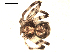  ( - BIOUG00517-B03)  @13 [ ] CC-0  G. Blagoev 2010 Unspecified