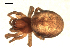  ( - BIOUG00517-B05)  @12 [ ] CC-0  G. Blagoev 2010 Unspecified