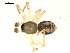  ( - BIOUG00517-C03)  @12 [ ] CC-0  G. Blagoev 2010 Unspecified