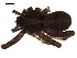  ( - BIOUG00517-D08)  @12 [ ] CC-0  G. Blagoev 2010 Unspecified