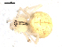  ( - BIOUG00517-E01)  @12 [ ] CC-0  G. Blagoev 2010 Unspecified