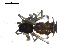  ( - BIOUG00518-A08)  @12 [ ] CC-0  G. Blagoev 2010 Unspecified
