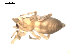  ( - BIOUG00518-F09)  @12 [ ] CC-0  G. Blagoev 2010 Unspecified