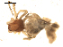  ( - BIOUG00518-G04)  @12 [ ] CC-0  G. Blagoev 2010 Unspecified