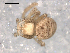  ( - BIOUG00518-G08)  @12 [ ] CC-0  G. Blagoev 2010 Unspecified