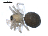  ( - BIOUG00519-B09)  @12 [ ] CC-0  G. Blagoev 2010 Unspecified